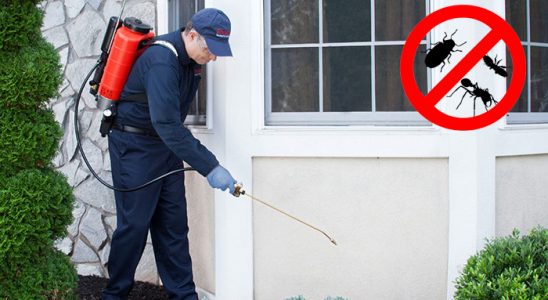 Yayladere Böcek İlaçlama böcek ilaçlama ve haşere kontrolü — ilaclama-tr.com